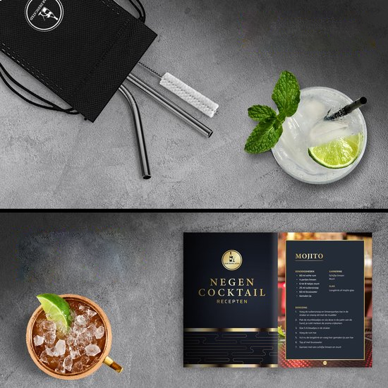 “Bar Dedicated Boston cocktailset zwart met roestvrijstalen rietjes, receptenboek en cocktailinspiratie.”